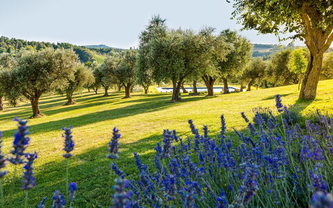 Casa Eugenia 8: Blu, Verde, Paesaggio Naturale, Pascolo, Paesaggio, Plain, Prato, Campo, Groundcover
