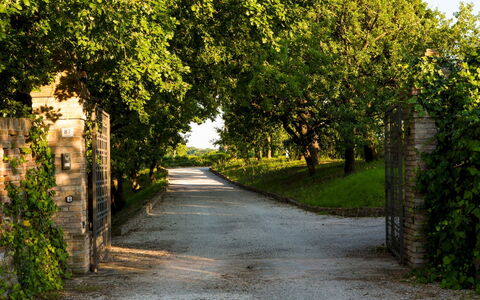 Casa Eugenia 8: Foglia, Verde, Natura, Albero, Ramo, Vegetazione, Manto Stradale, Strada, Arbusto