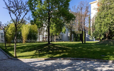 Villa la Perla Bianca 10: Ramo, Foglia, Giorno, Albero, Erba, Verde, Spazio Pubblico, Zona Residenziale, Prato, Shade