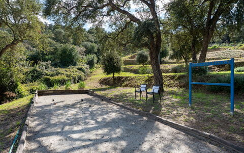 Villa Perelle 8: Albero, Spazio Pubblico, Ricreazione, Tempo Libero, Shade, Parco, Suolo, Trail, Woodland