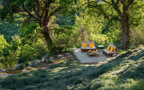 Cottage Dolcevista 4+2: Mobilia, Vegetazione, Mobili Da Esterno, Comunita 'Impianto, Giardino, Sedia, Riserva Naturale, Luce Del Sole, Shade, Landscaping
