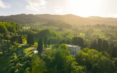Il Poggione 10: Albero, Natura, Ambiente Naturale, Foglia, Verde, Vegetazione, Paesaggio Naturale, Paesaggio, Collina, Highland