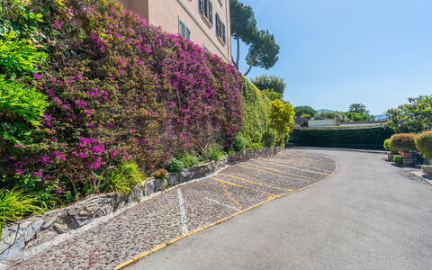 La Scogliera di Sori 5+1: Arbusto, Rosa, Groundcover, Giardino, Marciapiede, Primavera, Hedge, Landscaping, Passerella, Giardino Botanico