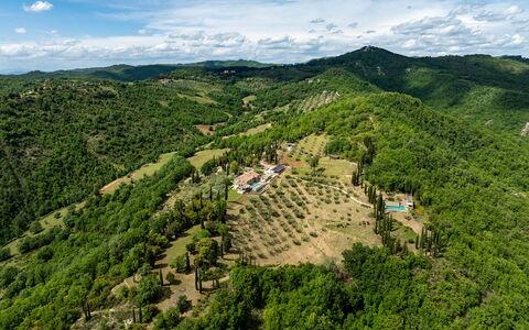 Tenuta Santa Cristina 10: Ambiente Naturale, Natura, Vegetazione, Paesaggio Naturale, Paesaggio, Highland, Hill Station, Area Rurale, Visione Globale, Foresta