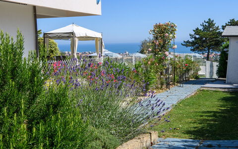 Villa Alma 8+2: Fiore, Arbusto, Giardino, Landscaping, Shade, Cortile, Giardino Botanico, Passerella