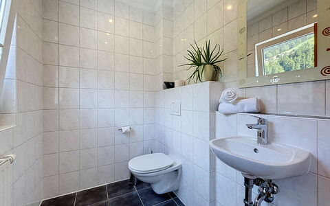 Ferienhaus Siegele: Pavimentazione, Idraulico Fixture, Interior Design, Bagno, Pavimento, Idraulico, Lavello, Rubinetto, Piastrella, Lavandino Del Bagno