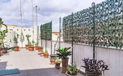 La Casa di Mary: Estate, Landscaping, Villa, Hedge, Balcone
