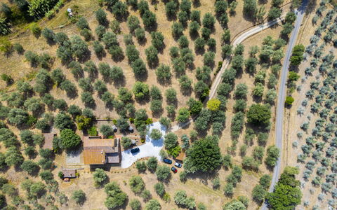 Casale le Lupe Apartments: Albero, Paesaggio, Area Rurale, Lotto, Visione Globale, Piantagione, Fotografia Aerea, Villaggio, Landscaping, Azienda Agricola