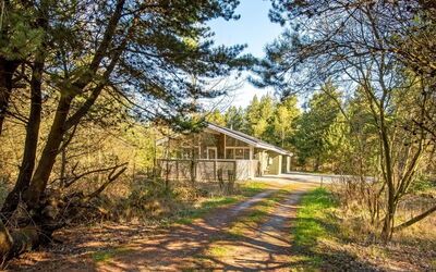 Liina - 3Km from the Sea