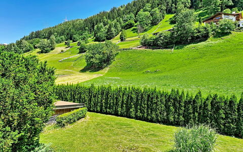 Arzl im Pitztal 15: Verde, Paesaggio Naturale, Arbusto, Paesaggio, Highland, Hill Station, Hedge, Giardino, Prato, Piantagione