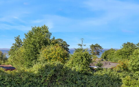 Kora - 300M from the Sea: Blu, Cielo, Foglia, Verde, Natura, Vegetazione, Arbusto, Comunita 'Impianto, Primavera, Luce Del Sole