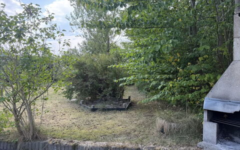 Hedwig - 120M to the Fjord: Arbusto, Giardino, Woody Impianto, Backyard, Landscaping, Sempreverde
