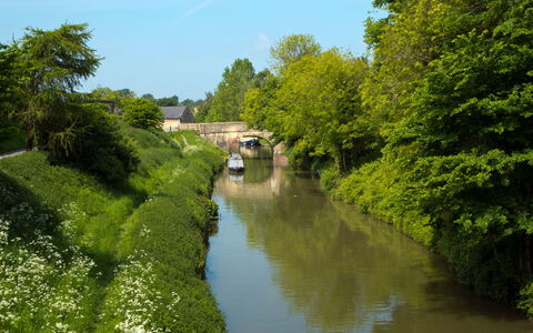 The Farmhouse at Rusty Lane Farm: Risorse Idriche, Acqua, Corpo D'Acqua, Waterway, Alveo, Verde, Natura, Canale, Canale, Banca