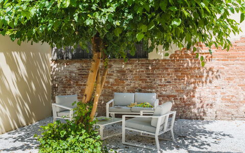 Contemporary House: Foglia, Mobili Da Esterno, Mobilia, Arbusto, Giardino, Shade, Primavera, Sedia, Backyard