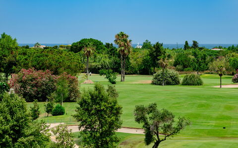 Oliva Nova Cabagua: Albero, Arbusto, Paesaggio, Lotto, Pascolo, Giardino, Prato, Landscaping, Piantagione