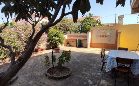 Casa Bianca, Budoni: Vaso Di Fiori, Shade, Pianta Della Casa, Cortile, Hacienda, Cortile, Balcone, Backyard