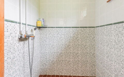 Alpola: Pavimentazione, Pavimento, Piastrella, Idraulico Fixture, Idraulico, Bagno, Soffione Doccia, Doccia