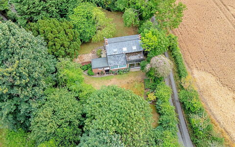 Hollybush Studio: Albero, Vegetazione, Paesaggio, Casa, Area Rurale, Arbusto, Tetto, Villetta, Casa, Comunita 'Impianto