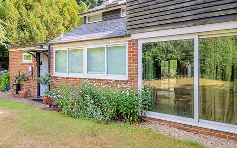 Hollybush Studio: Casa, Casa, Arbusto, Zona Residenziale, Tetto, Villetta, Porta, Lotto, Estate, Giardino