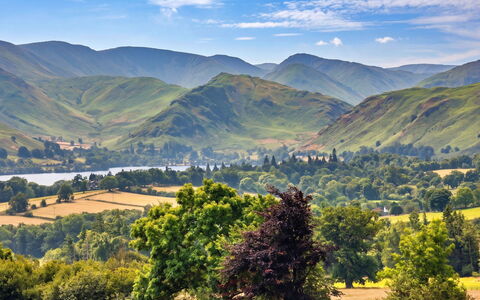 Willow'S View: Montagna, Geografia Montane, Verde, Collina, Paesaggio Naturale, Highland, Catena Montuosa, Pascolo, Paesaggio, Ecoregione