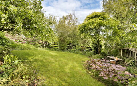 Bourne Edge: Erba, Vegetazione, Arbusto, Giardino, Comunita 'Impianto, Pascolo, Groundcover, Lotto, Primavera