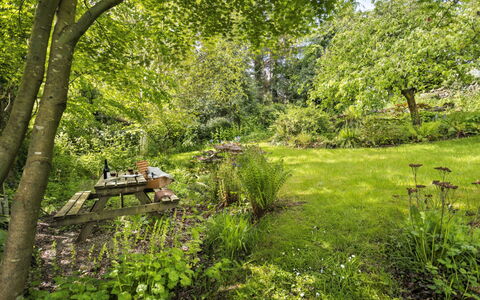 Bourne Edge: Verde, Albero, Foglia, Natura, Ambiente Naturale, Erba, Ramo, Vegetazione, Paesaggio Naturale