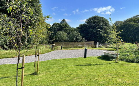 Howgill Pod: Albero, Erba, Arbusto, Giardino, Pascolo, Lotto, Plain, Recinzione, Prato
