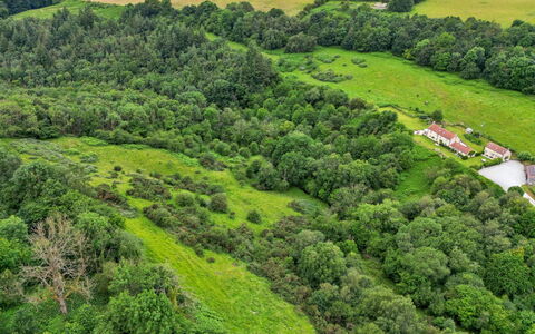Mole End: Ambiente Naturale, Vegetazione, Paesaggio Naturale, Visione Globale, Pascolo, Ecoregione, Paesaggio, Highland, Lotto, Foresta