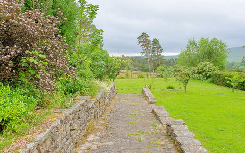 Evergreen Manor: Erba, Ambiente Naturale, Paesaggio Naturale, Vegetazione, Arbusto, Pascolo, Muro ​​Di Pietra, Paesaggio, Comunita 'Impianto