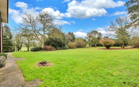 Clavering Hall: Albero, Erba, Arbusto, Pascolo, Giardino, Plain, Lotto, Prato, Groundcover