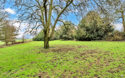 Clavering Hall: Verde, Erba, Albero, Ambiente Naturale, Ramo, Foglia, Pascolo, Vegetazione, Paesaggio Naturale, Ecoregione