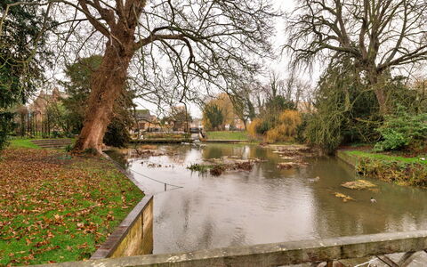 The Potting Shed at Island Hall: Acqua, Albero, Corpo D'Acqua, Risorse Idriche, Natura, Ramo, Alveo, Waterway, Banca, Paesaggio