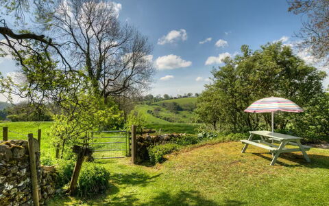 Town End Barn: Albero, Erba, Paesaggio Naturale, Pascolo, Arbusto, Area Rurale, Lotto, Giardino, Prato