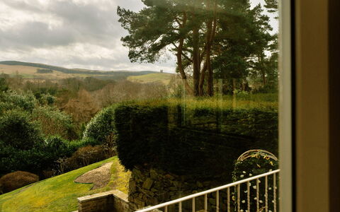 Greenacres: Luce Del Sole, Giardino, Landscaping, Hedge, Piantagione