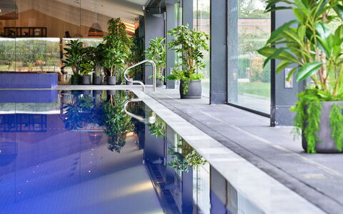 The Glass House at the Lakes by Yoo: Piscina, Vaso Di Fiori, Ricorrere, Pianta Della Casa, Shade, Eco Hotel, Hotel, Design, Cortile, Giochi D'Acqua