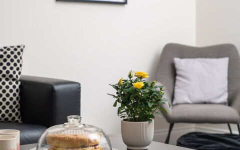 Field View: Mobilia, Interior Design, Divano, Casa, Soggiorno, Tavolo, Cuscino, Tessile, Lancia Cuscino, Pavimentazione