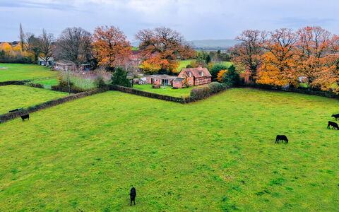 Cricketers' Cottage: Erba, Verde, Pascolo, Paesaggio, Area Rurale, Plain, Lotto, Pascolo, Prato, Campo