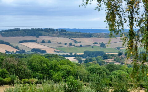 New Lodge Granary: Verde, Vegetazione, Paesaggio Naturale, Arbusto, Pascolo, Ecoregione, Comunita 'Impianto, Paesaggio, Plain, Lotto