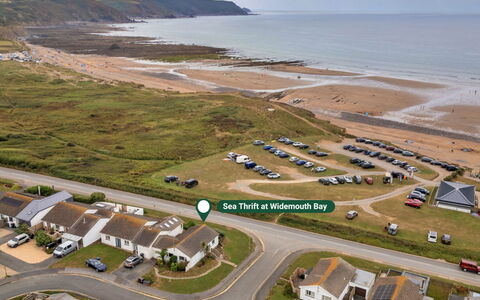 Sea Thrift at Widemouth Bay: Costa, Mare, Riva, Oceano, Spiaggia, Baia