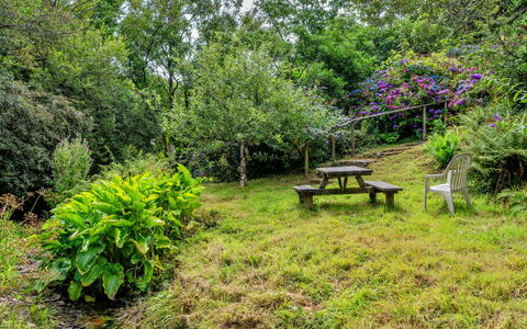 Millook Water: Natura, Vegetazione, Arbusto, Giardino, Comunita 'Impianto, Lotto, Groundcover, Area Rurale, Primavera