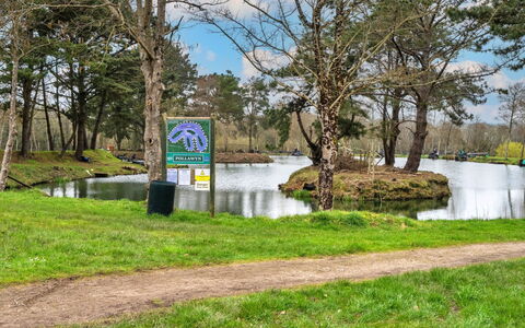 Pine Forest Lodge: Acqua, Natura, Banca, Alveo, Stagno, Lago, Riserva Naturale, Serbatoio, Parco