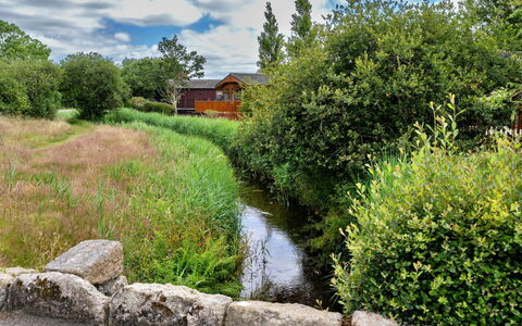 Stargazey: Erba, Natura, Paesaggio Naturale, Vegetazione, Alveo, Arbusto, Waterway, Comunita 'Impianto, Paesaggio