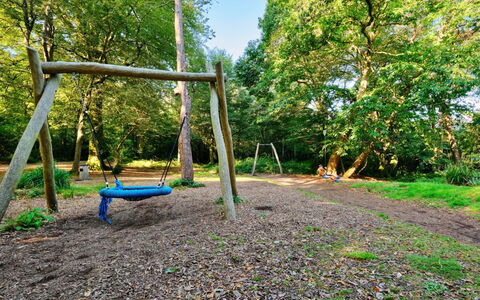 St. Ives 637: Albero, Natura, Ambiente Naturale, Legna, Attrezzatura Giochi All'Aperto, Woodland, Campo Da Giuoco, Tronco, Foresta, Giardino