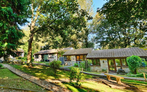 St. Ives 637: Casa, Villetta, Casa, Arbusto, Area Rurale, Tetto, Lotto, Insediamento Umano, Primavera, Giardino