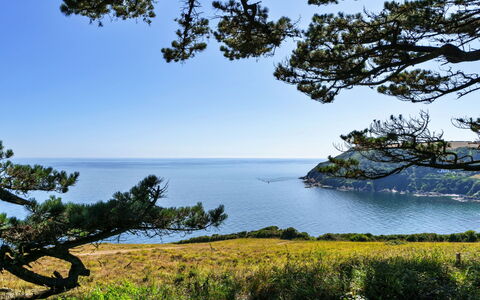 The Old Vicarage: Blu, Acqua, Verde, Corpo D'Acqua, Foglia, Vegetazione, Paesaggio Naturale, Costa, Costiera E Morfologie Oceanic, Mare