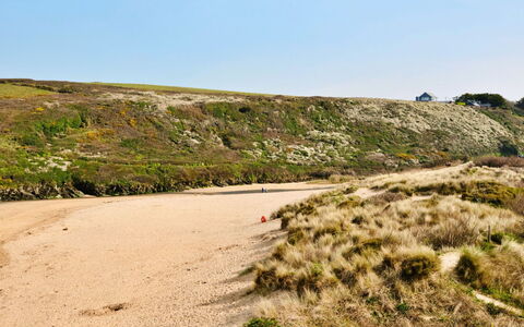 The Cuddy: Ambiente Naturale, Ecoregione, Orizzonte, Terreno, Sabbia, Paesaggio, Comunita 'Impianto, Natura Selvaggia, Shrubland, Geologia