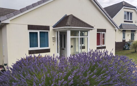 Lavender Waye: Zona Residenziale, Casa, Villetta, Giardino, Prato, Finestra A Ghigliottina, Cortile, Estate, Landscaping, Sobborgo