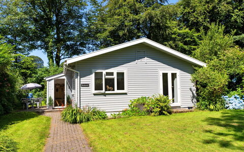 Brockwood: Erba, Casa, Arbusto, Villetta, Casa, Groundcover, Giardino, Raccordo, Prato