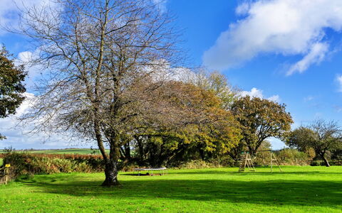 Old Nog Cottage, Stowford: Blu, Ramo, Foglia, Erba, Verde, Albero, Natura, Pascolo, Vegetazione, Ramoscello