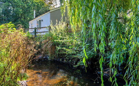 Marsh Cottage: Acqua, Vegetazione, Alveo, Arbusto, Comunita 'Impianto, Banca, Riflessione, Stagno, Ramoscello